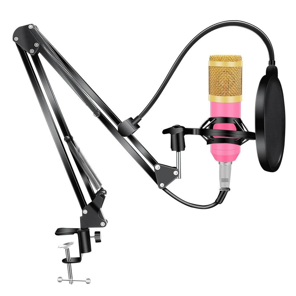 

Bm 800 Karaoke Microphone Kits Professional Condenser Microphone Bundle Pop Filter Mikrofon for Computer Laptop Studio Recording