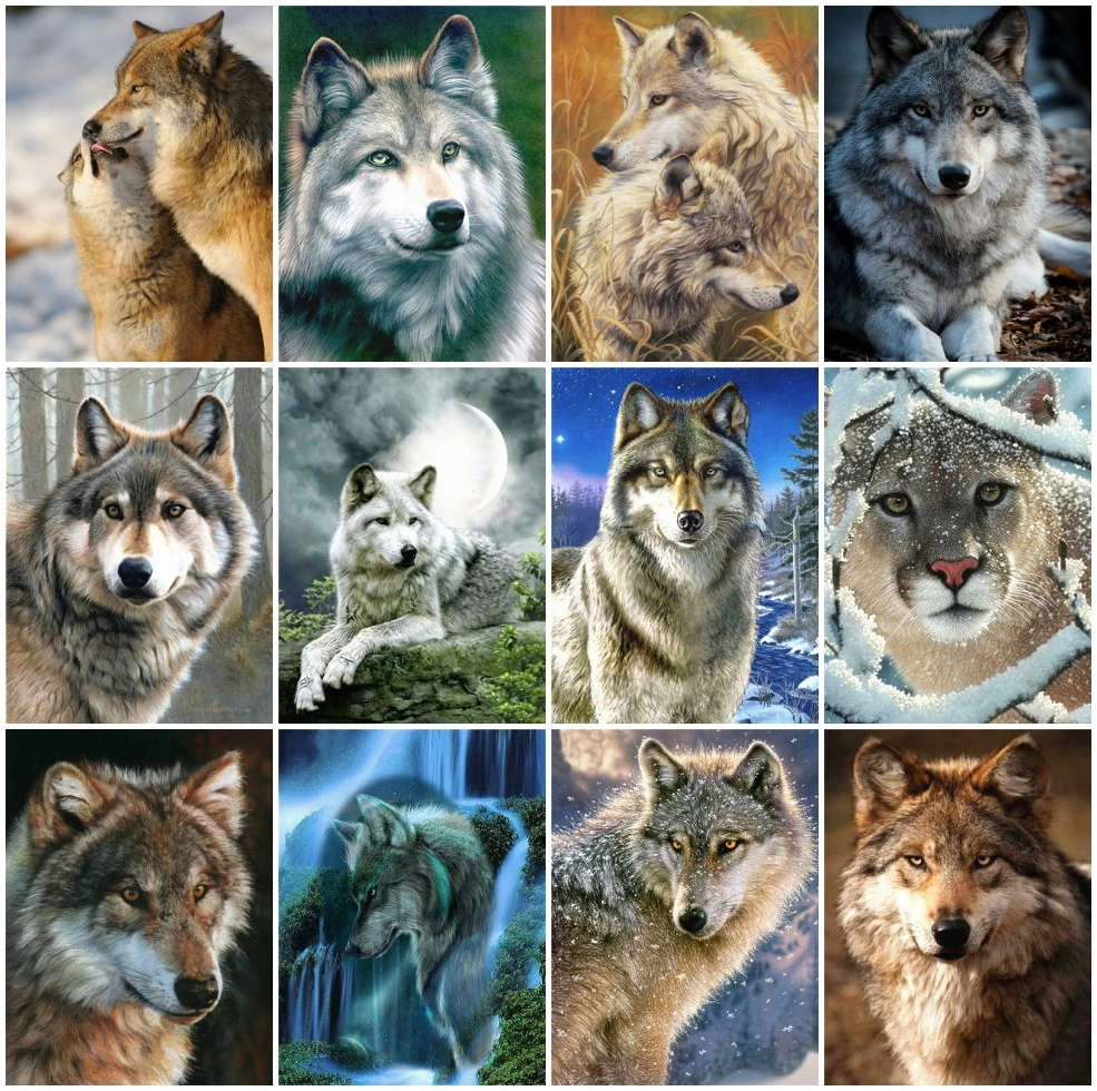 EverShine Diamond Painting Full Square Animal Embroidery Wolf Picture Of Rhinestones Beaded Cross Stitch Handicraft | Дом и сад