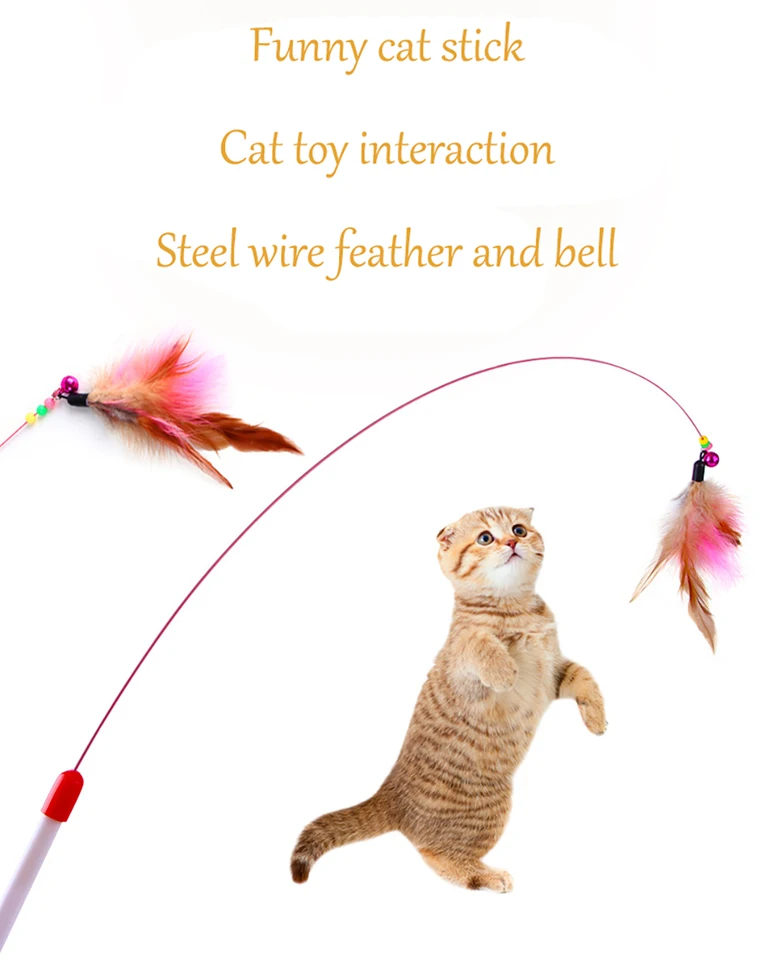 https://ae01.alicdn.com/kf/H8232af50e85f4037a47ccdb4f005a9e6F/Metal-Feather-Bell-Wire-Cats-Stick-for-Cat-Toy-Pet-Toys-Interactive-Pets-Supplies-Dla-Kota.jpg_960x960.jpg