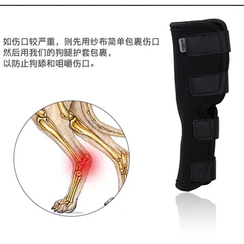 

Pet Dog Leg Fracture Fixation Splint Correction Recovery Strap Sheath Dog Leg Wrap Dog Products Dog Accessories