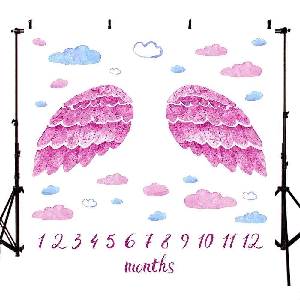 

Mehofond Newborn Monthly Calendar Photography Background Pink Angel Wings Clouds Girl Baby Portrait Backdrops Photo Studio Props