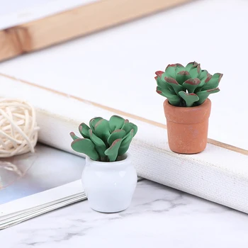 

Dollhouse Succulent Plant Office Resin Desktop Birthday Flower Home Decor Craft DIY Gift Miniature Ornament Furniture Toys