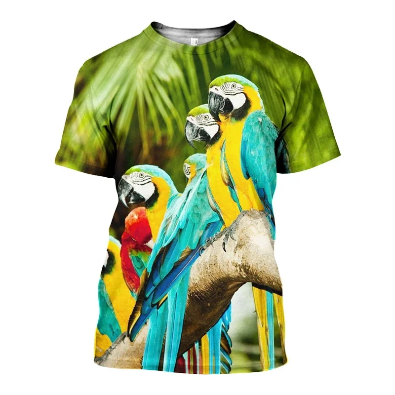 Duc_Parrot_3D_DT071205_ts_800x