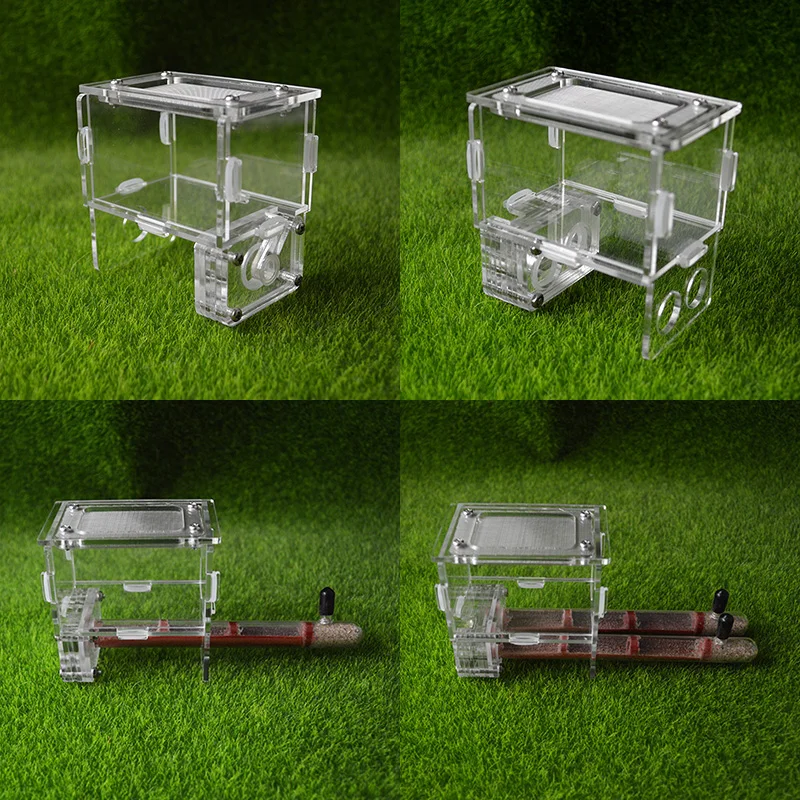 Tubo de prueba de bambú, empalme de hormiga, nido de Mascota, hormiga de hormigas para Taller, casa acrílica, 15mm