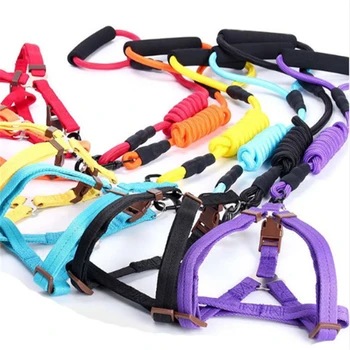 

Pet Dog Leash Nylon Leash For Dogs 5 Colors Walking Training Leash Cats Dogs Harness Collar Leash Strap Belt