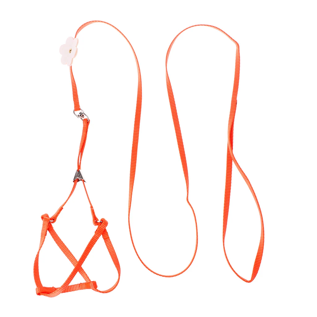 

Pet Harness Small Pets Parrot Bird Parakeet Leash Outdoor Adjustable Strap Training Rope Flying Cross Band Soft Colorful Product