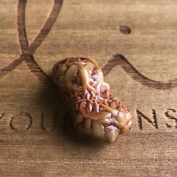 

Natural stone raw agate Silk Road Collectibles unique collection