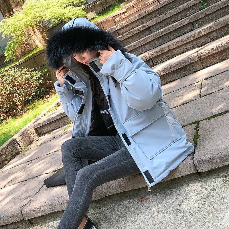 

According to Nalini 2019 Autumn And Winter New Style down Jacket Women's Korean-style INS Online Celebrity Casual CHIC Workwear