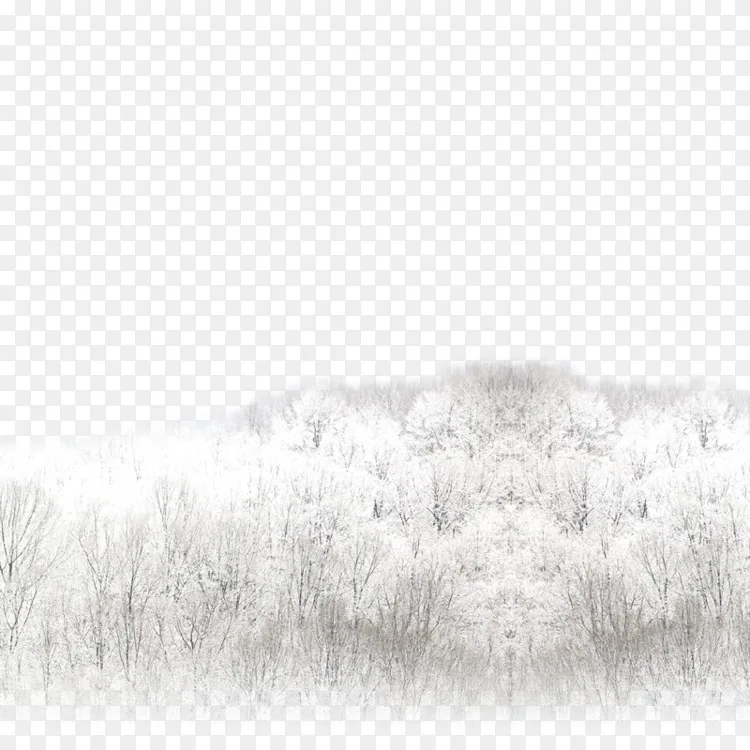 白黑花纹树png图片素材免费下载 图片编号 Png素材网