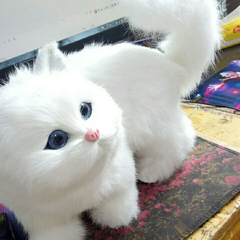 7a5be83352fbc1ffe304c32c863e002d