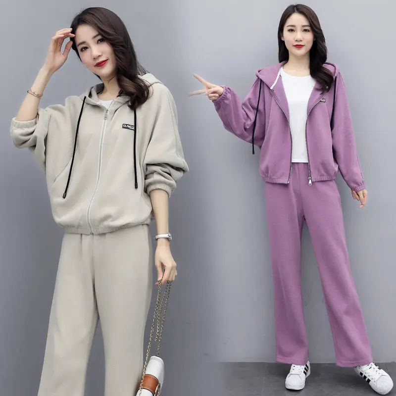 

2020 Spring Autumn Korean 2 Piece Sets Loose Cardigan Hooded Sweater Large Size Two Piece Pants Apricot Purple Black Clothes