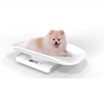 

Household scale tools Mini pet scale electronic scale home ABS Electronic scale (1g / 10kg)