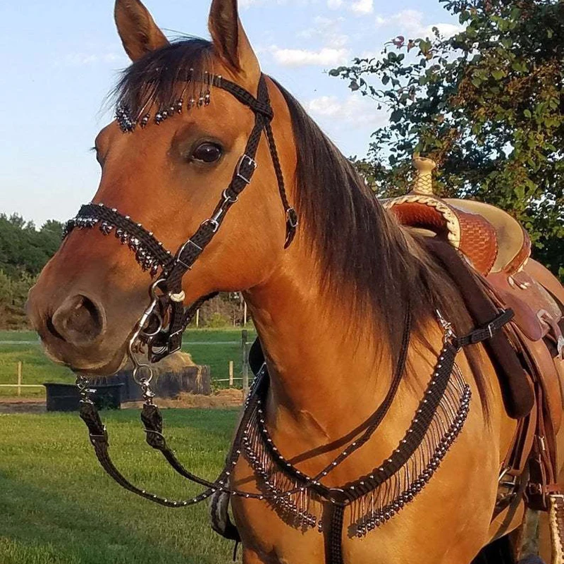 Horse Bridle Head Collar Rein Belt Adjustable Strap Horse Riding Racing