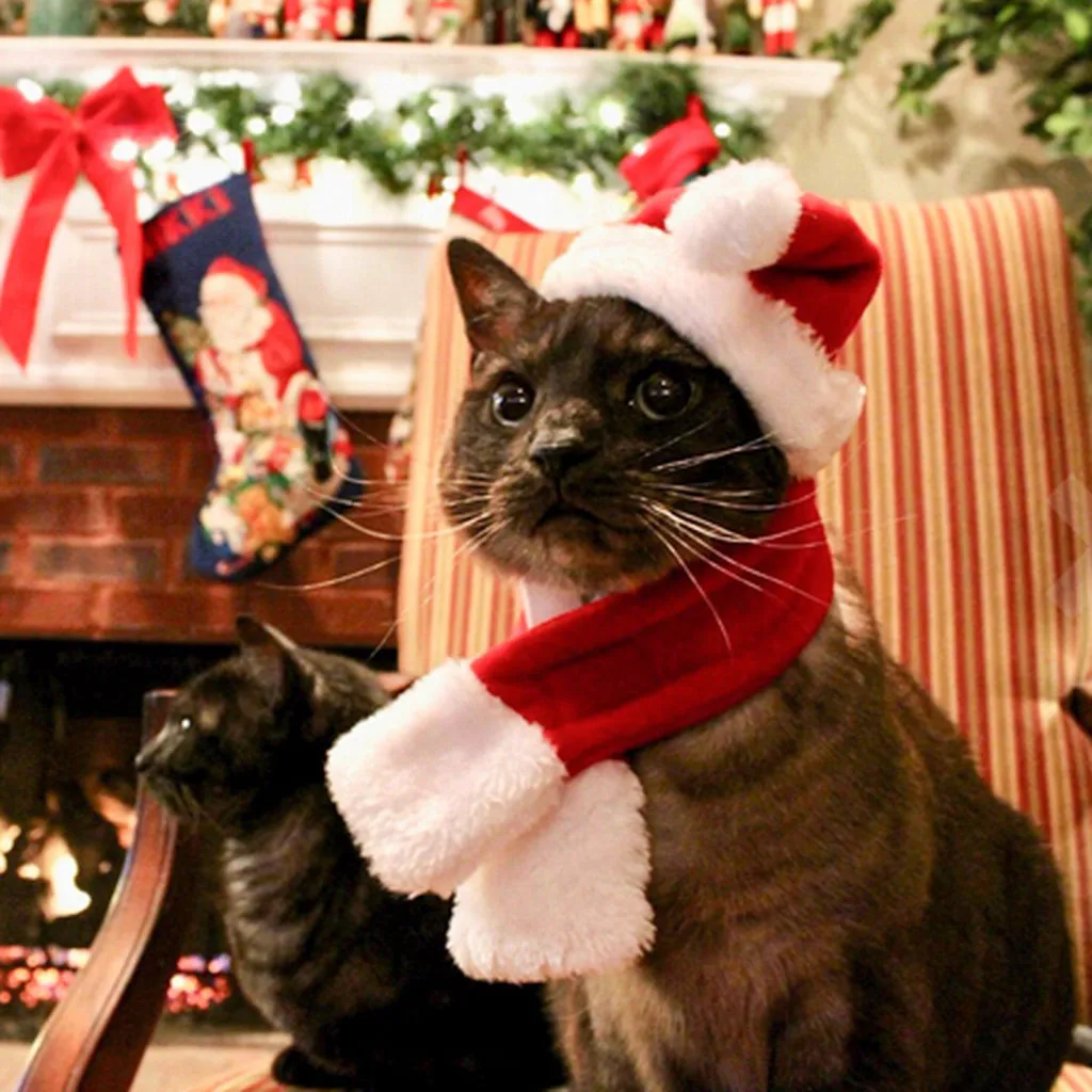 Pet cat шапка для собак Рождество сплошной цвет зима теплый Регулируемый головной убор шляпа аксессуары для домашних животных 9,6