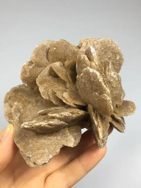 Desert Rose Natural Ore Mineral Crystal Specimen Stone Decoration Geology Teaching Collection | Дом и сад