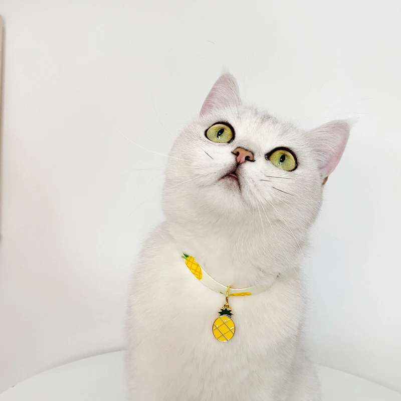 22892566567_1199050608