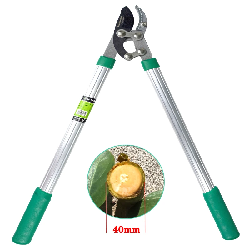 US $22.49 Rddspon Pruning Shear Garden Tools Labor Saving Sk5 Strong Branch Shears Long Handle Replaceable Blade Sharp Durable Very Light