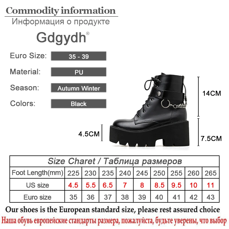 Platform boots women high heeled boots for Women Autumn Gothic Style