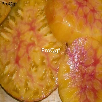 

Ngryise 6000Pcs A Set Hawaiian Pineapple Tomato