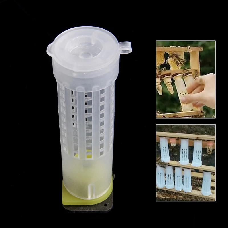 10x Пчеловодство Rearing Cup Kit Bee queen клетки роликовое оборудование для пчеловодов инструмент N1HA