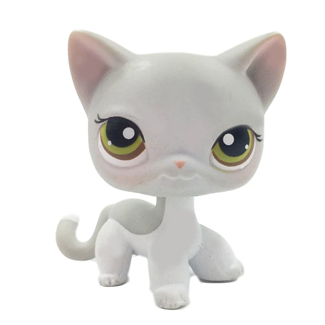 Lps Pet Shop Toys Real Rare Persian Cat Chat Persan Yellow Kitty Old Original Toy Free Shipping Action Figures Aliexpress