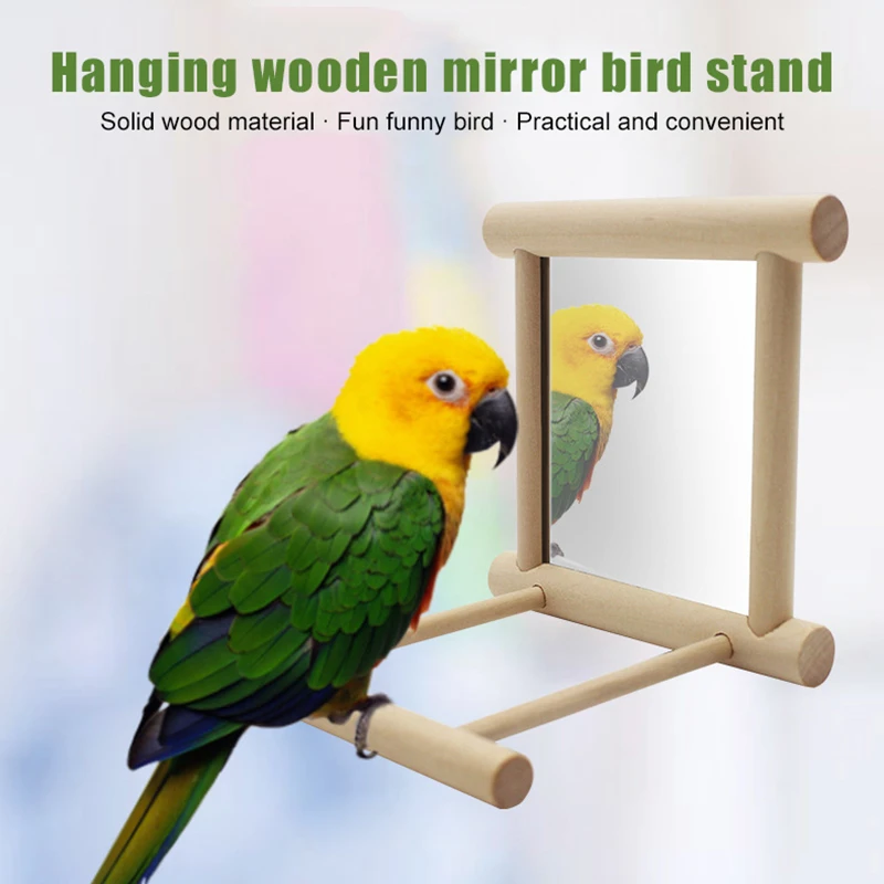 bird swing with mirror