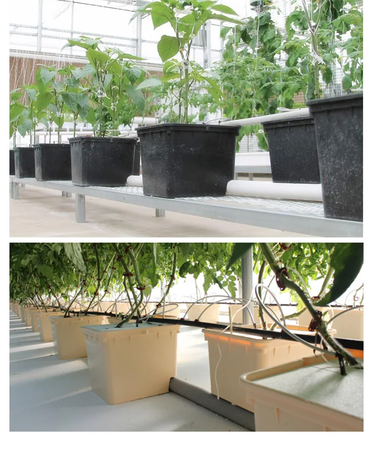 TB29dBkEeGSBuNjSspbXXciipXa_!!3428956268