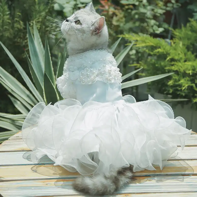 Ropa De Disfraz Para Novia Y Novio Para Mascotas Vestido De Boda Bling Cat Dog Cat Smoking Para Gato Chihuahua Poodle Small Pet Aliexpress