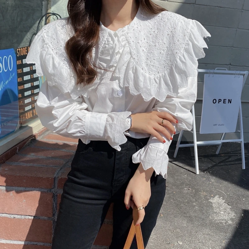 H826649e7c9354139a68c0d48ac4510d9d - Spring / Autumn Hollow Out Big Lapel Collar Puff Sleeves Loose Solid Blouse