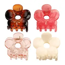 4pcs/set Jelly Color Plate Hair Clip Flower Hair Clip Chubby Large Transparent Jelly Color Back Plate Geometric Shape Hair Clip