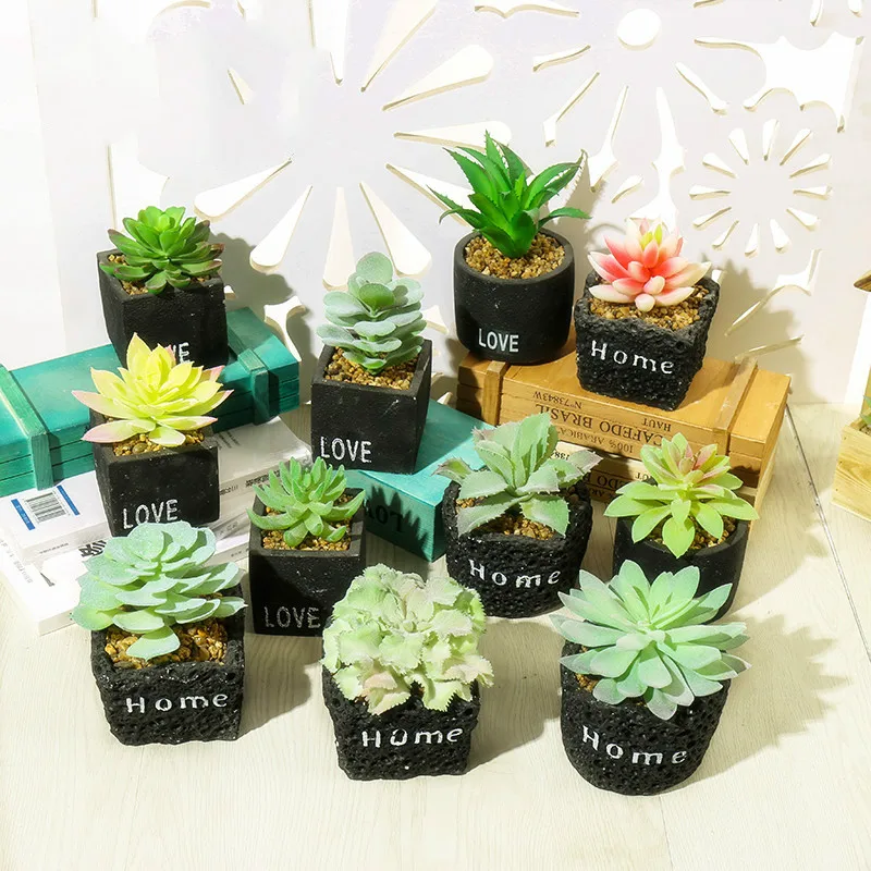 

Simulation meaty plant bonsai simulation flower creative plant furnishing articles vogue to live in a simulation faux plants