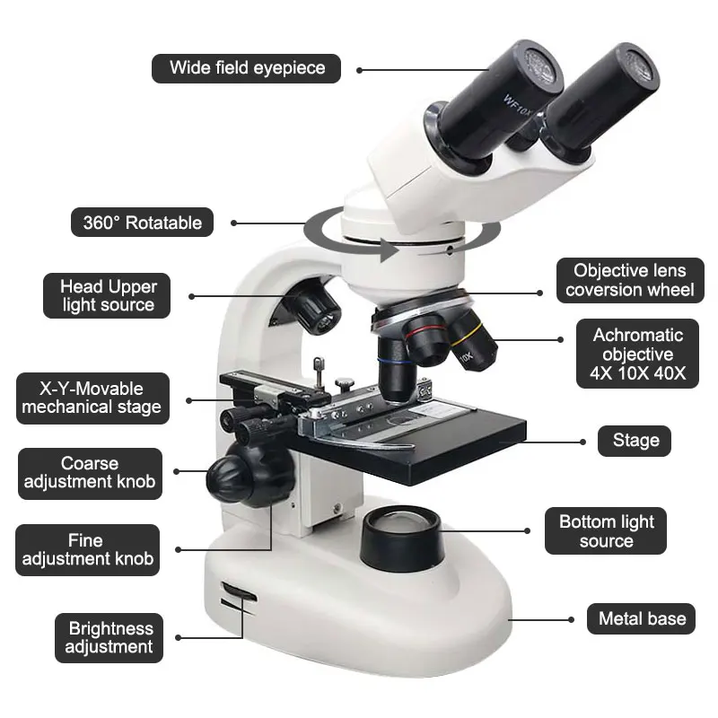 US $248.33 Binocular Led Biological Microscope 40x 1600x Digital Microscope Student Lab 20mp Usb Digital Camera Eyepiece 100 Pcs Prepared