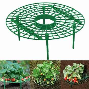 

5pcs/10pcs Garden Strawberries Growing Circle Stand Support Rack Plant Farming Improve Frame Removable Rack Gardening