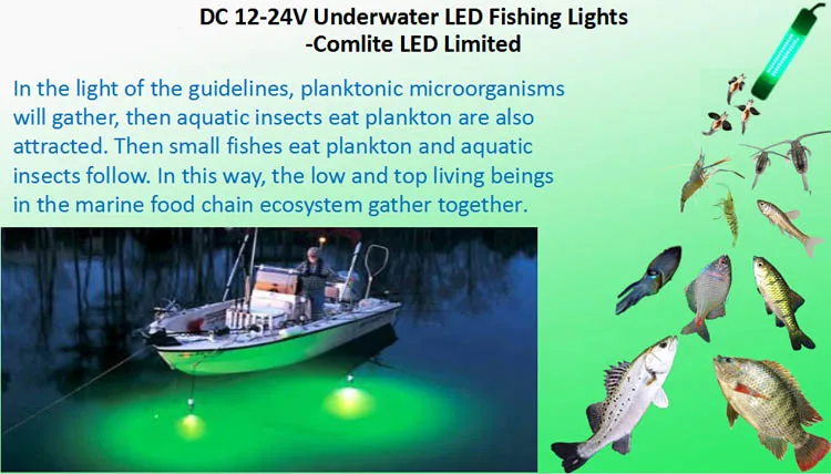 fishing lure light bait 1.jpg