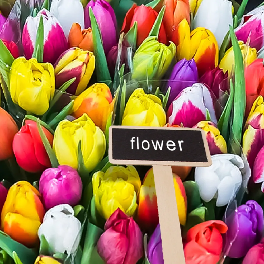 1789d24939d2aed1d7ec1cb563e0ee53