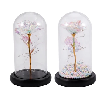 

Rose Lamp, Real Enchanted Rose in Glass e, Preserved Rose Flower Night Light ,Eternal Flowers Rose Gift for Her on Thanksgivi