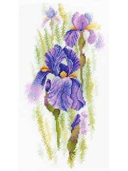 

Set for embroidery cross stitch MP Studio А-020 Air Iris