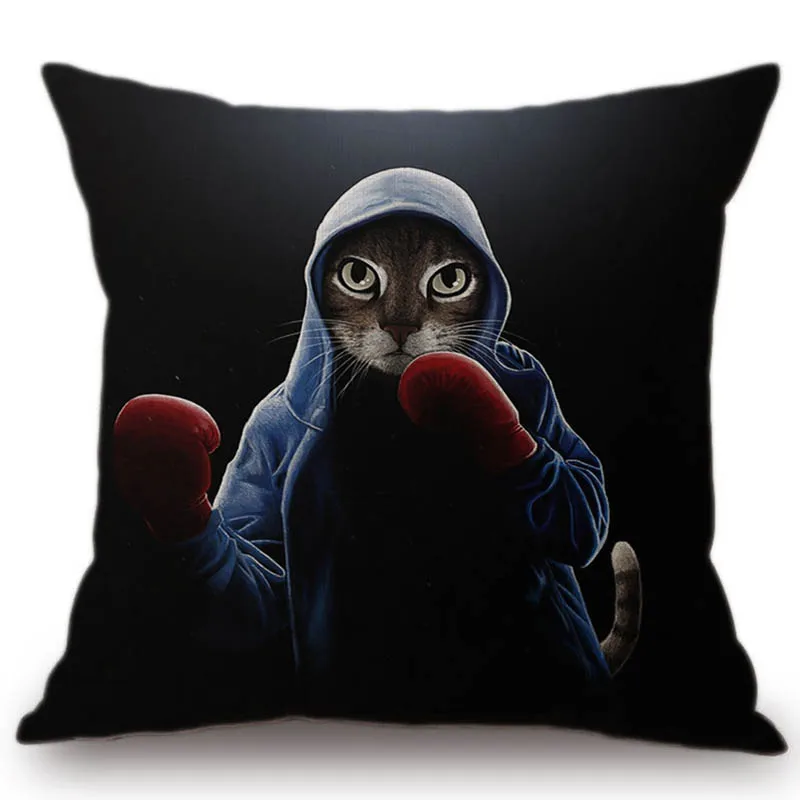 boxing-cool-cat-canvas 