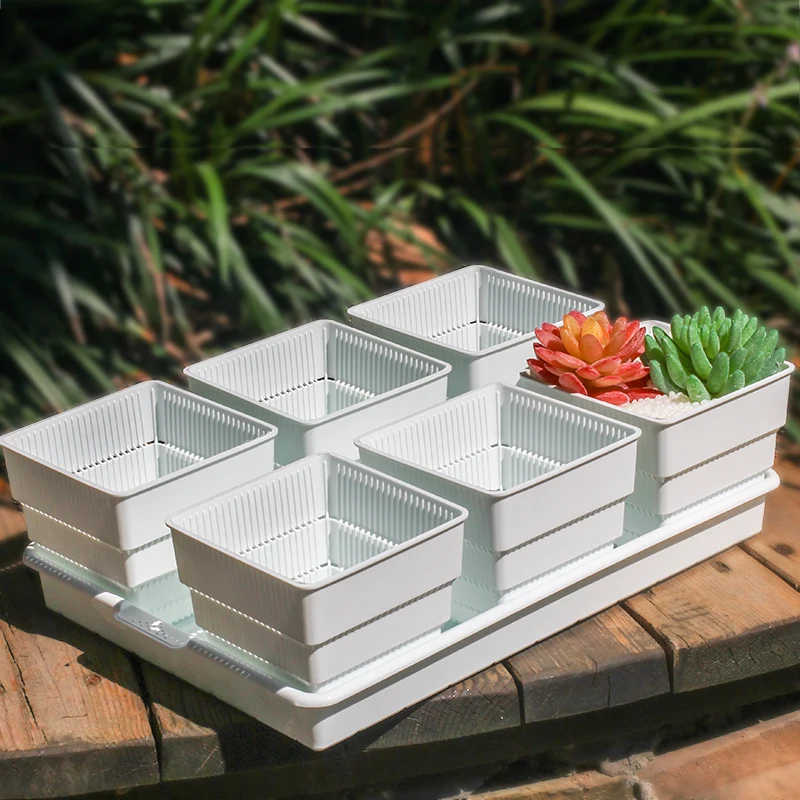 

Meshpot 6-Pack Succulents Pots Root Control Flower Pot Plants Container Garden Pot Seedlings Nursery Supplies Inner Dia. 10cm