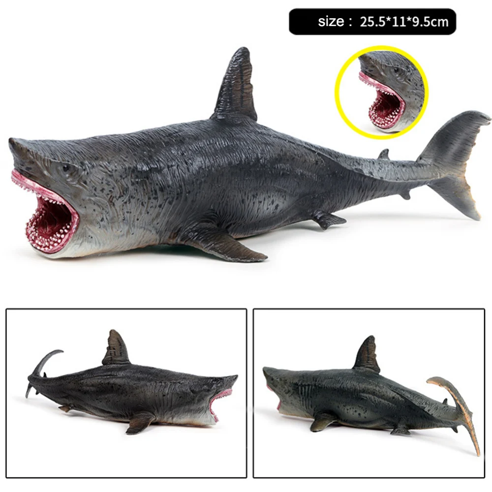 Реалистичная игрушка Акула моделирование морской жизни модель животного пластиковая игрушка Дети обучающая игрушка Гигантский зуб акула