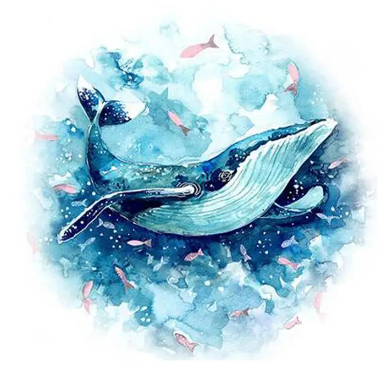 картина кит акварель. иллюстрации акварелью киты. синий кит акварель. рисовать кита акварелью. три кита акварель.