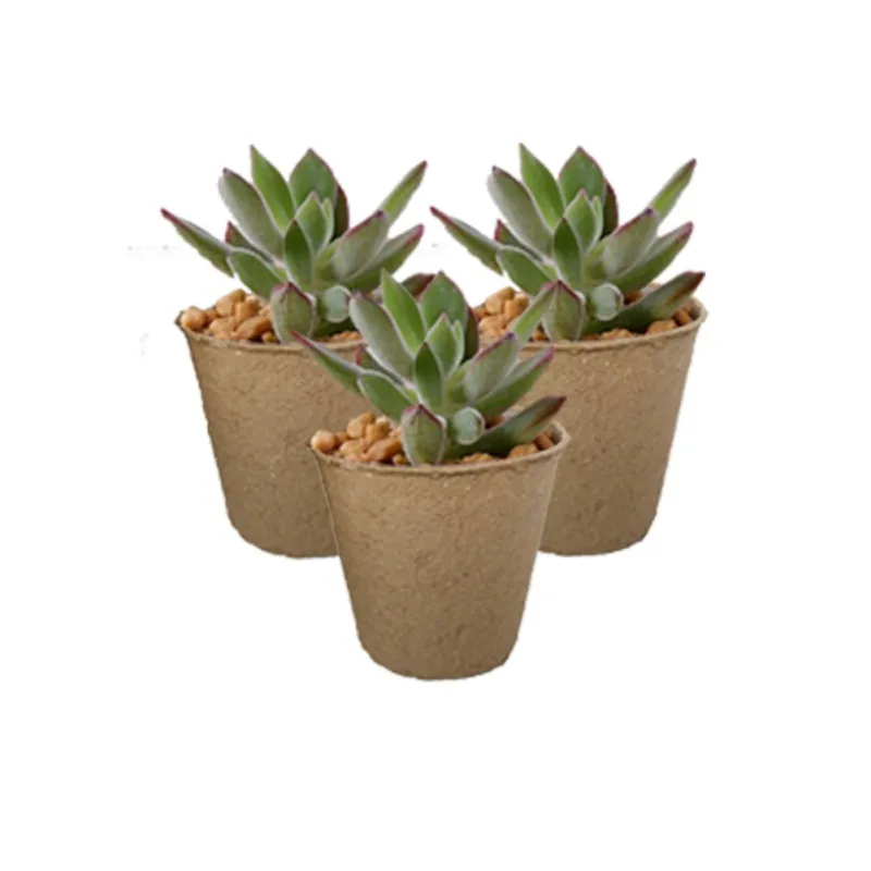 10/50/100 Pcs Peat Pots For Seedlings 3 Inch Gardening Seed Starter Tray Kit Biodegradable Eco-Friendly Plant Starting | Дом и сад