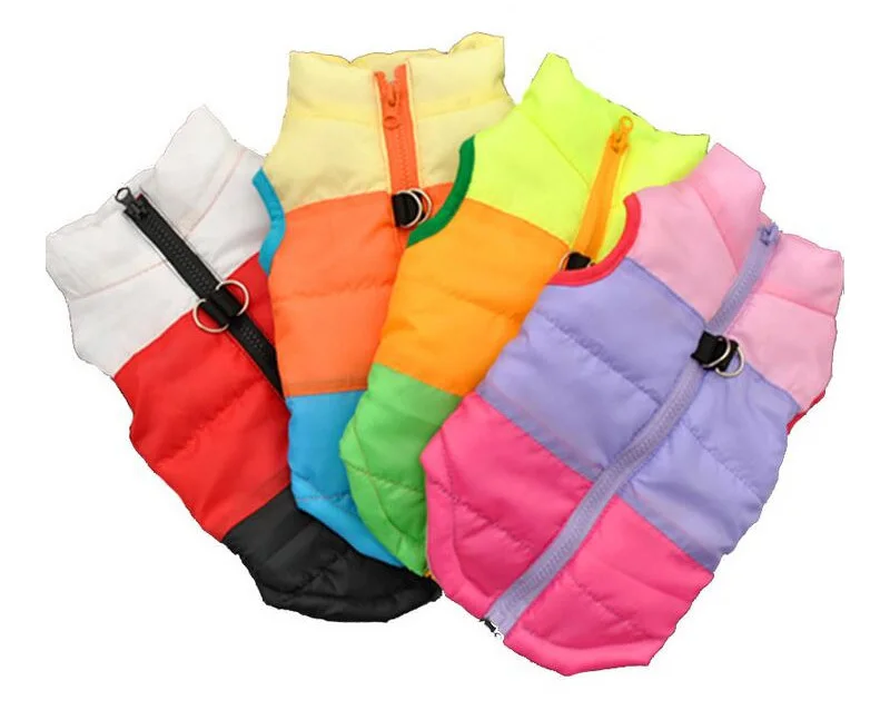 winter dog clothes