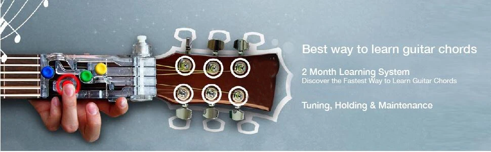 5b9faa75-8fec-45f7-83c7-dd312a5a2d15.jpg._CB282523736__SR970,300_