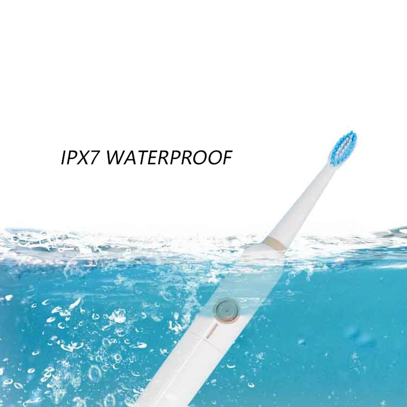 Waterproof Electric Toothbrush Sonic Toothbrush Ultrasonic Toothbrush Oral Hygiene Dental Care Electrical Toothbrush for Adult