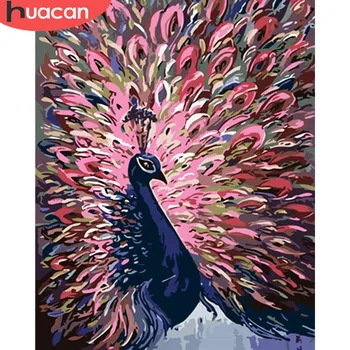 

HUACAN Oil Painting By Numbers Peacock Animal Kits Drawing Canvas HandPainted DIY PicturesHome Decoration Art