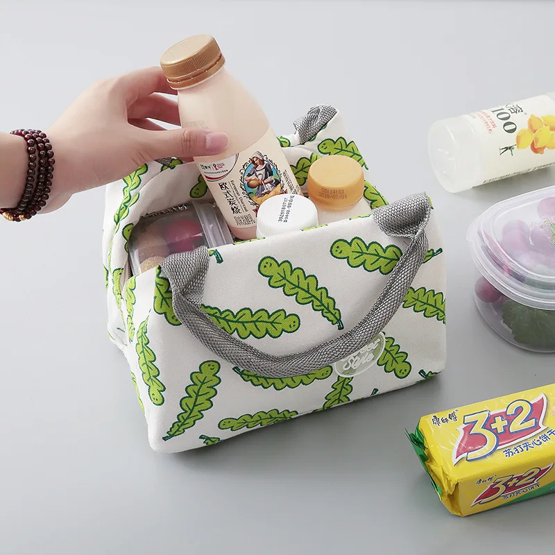 Водонепроницаемый ручной мешок Bento коробка мультфильм изолированный мешок для пикника холодные теплоизоляционные сумки для студентов ручной Ланч-бокс сумка