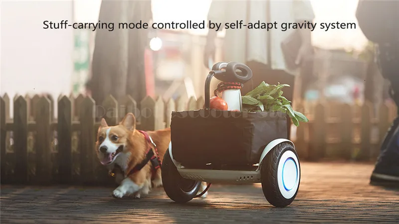 Daibot Smart Electric Scooter 10 Inch 2 Wheel Self Balancing Scooters With APPBluetooth Speaker Protable Oxboard Hoverboard  (34)