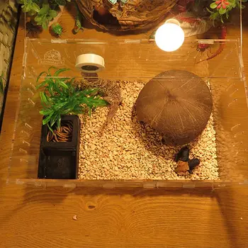 

Black Plastic Reptiles Water Food Box Terrarium For Feeding Breeding Insect Turtle Pet