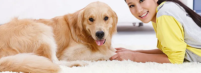 H82a0bafd6ea74b06bb245d2bb23384daF.jpg?width=800&height=291&hash=1091